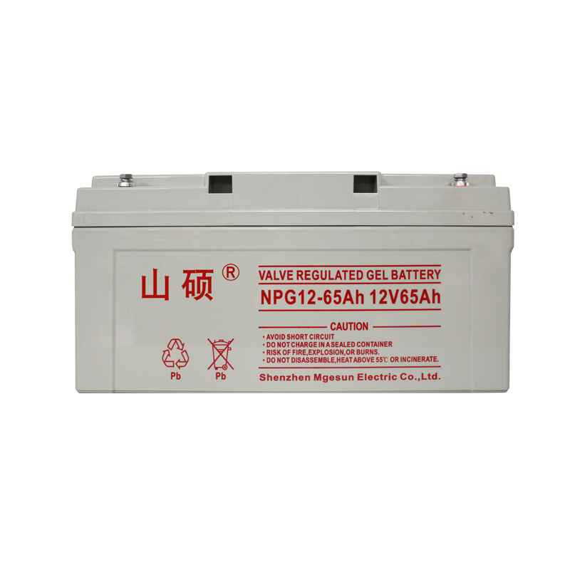 NP12-65 蓄电池